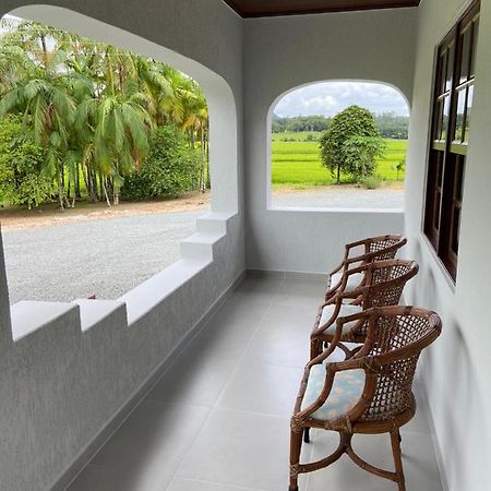 Casa Colonial Em Rio Dos Cedrosヴィラ エクステリア 写真